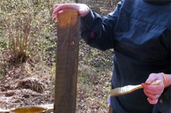 Eine Schülerin streicht mit einem Pinsel Farbe auf das Holz.