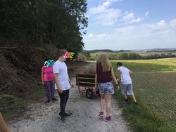 Fleißig werden Äste und Zweige gesammelt.